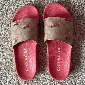Coach Sport Slides